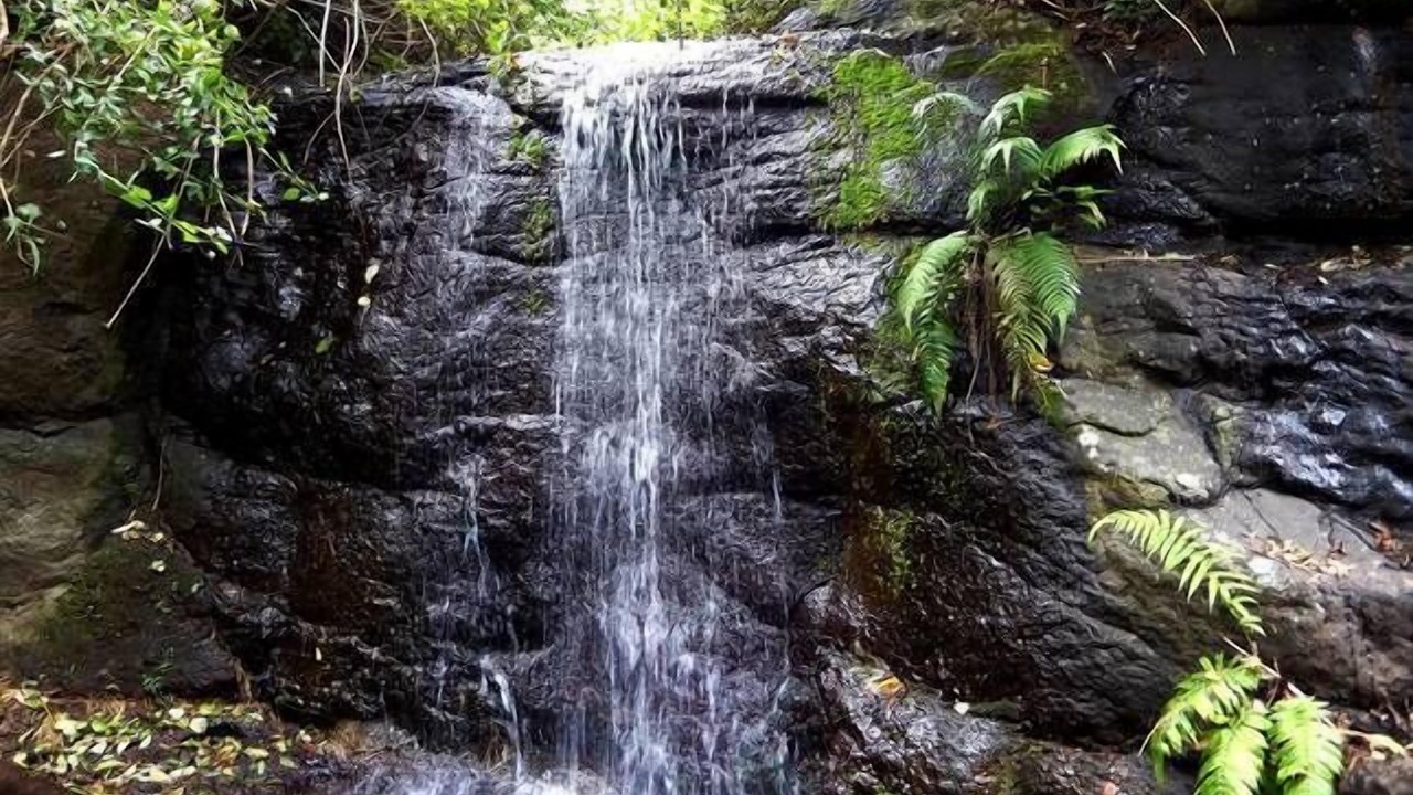 Photo of Outdoor in Repentance Creek