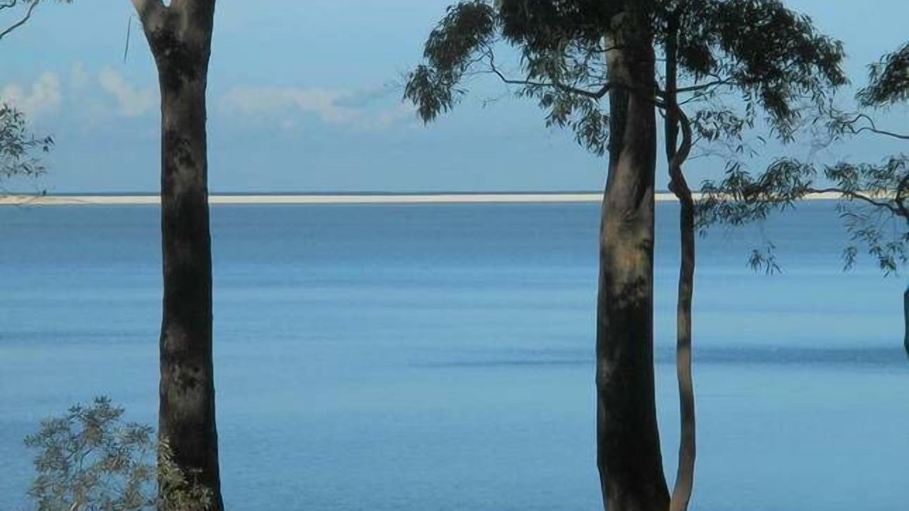 Photo of Outdoor in Smiths Lake