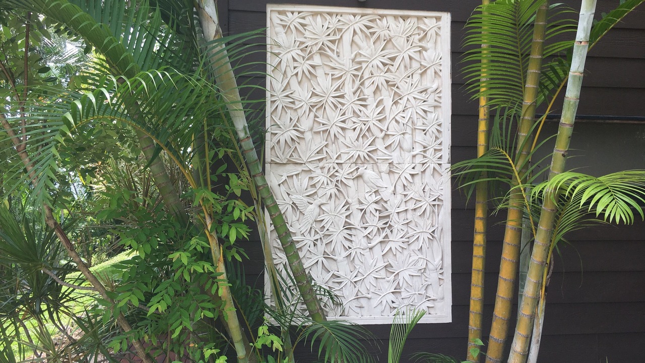Photo of Outdoor in Cannonvale