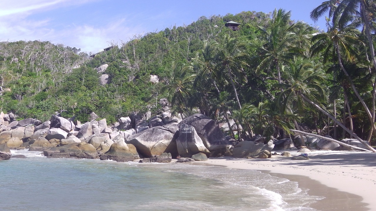 Photo of Others in Bedarra Island