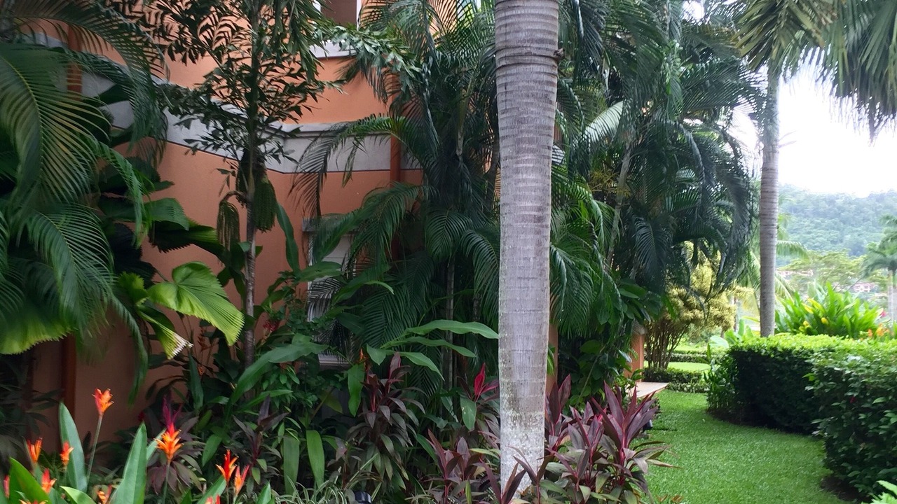 Photo of Outdoor in Herradura