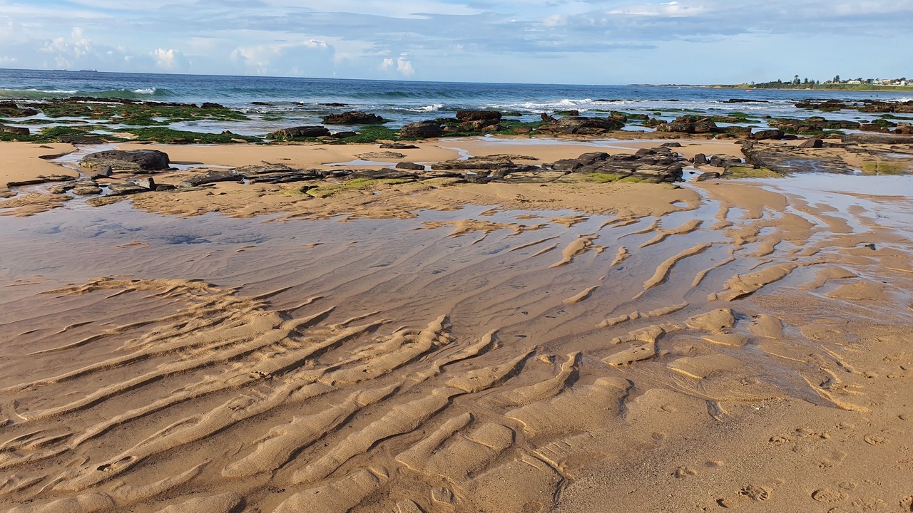Photo of Others in Thirroul