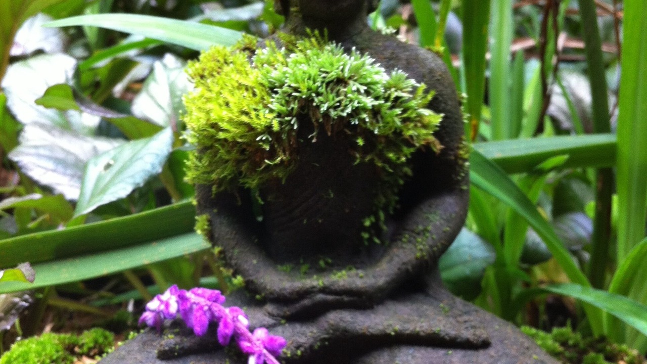 Photo of Outdoor in Bellingen