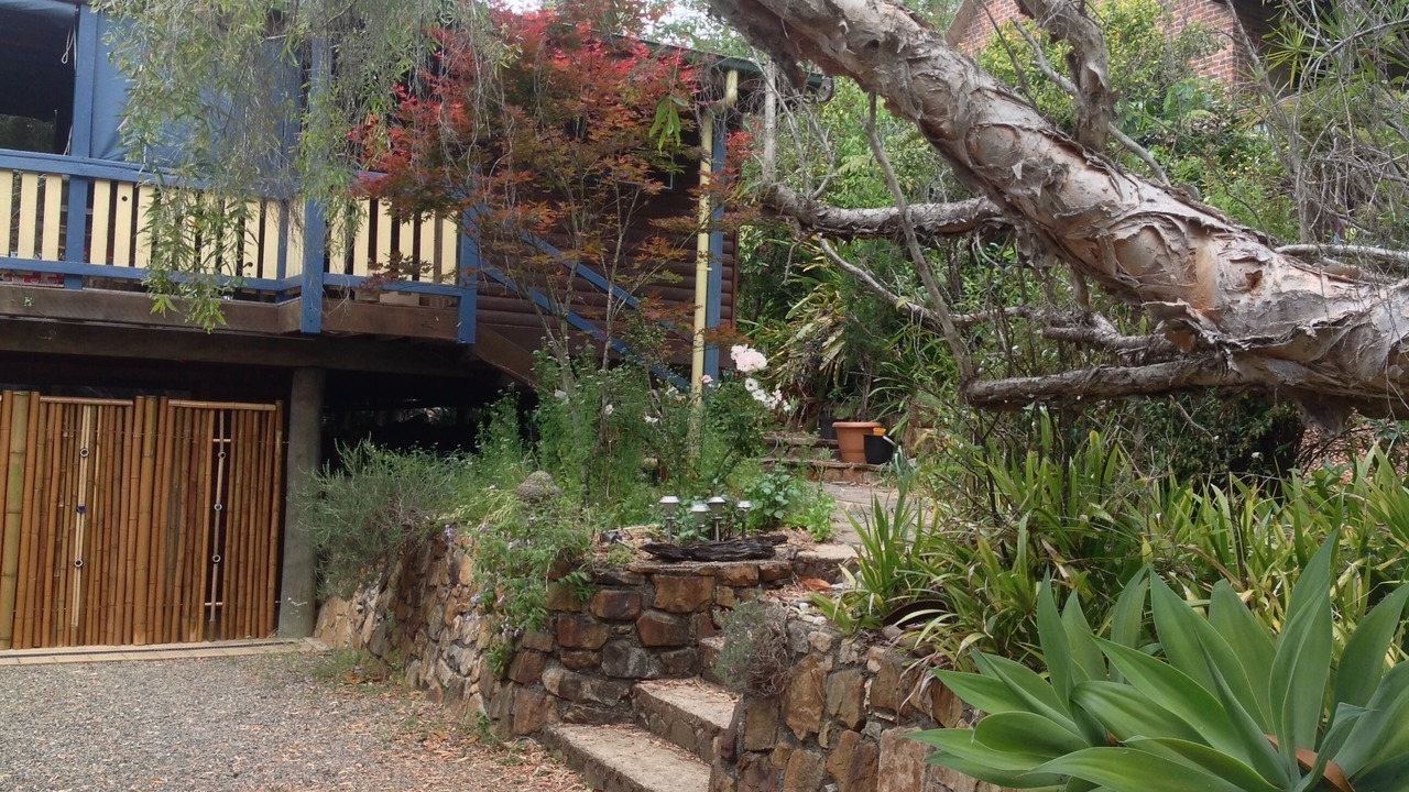 Photo of Outdoor in Bellingen