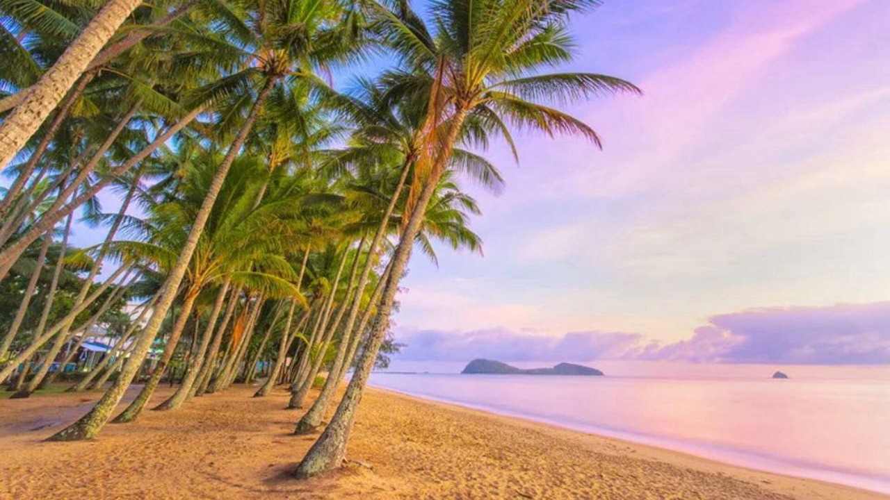 Photo of Others in Palm Cove