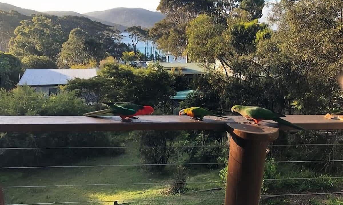 Photo of Others in Depot Beach