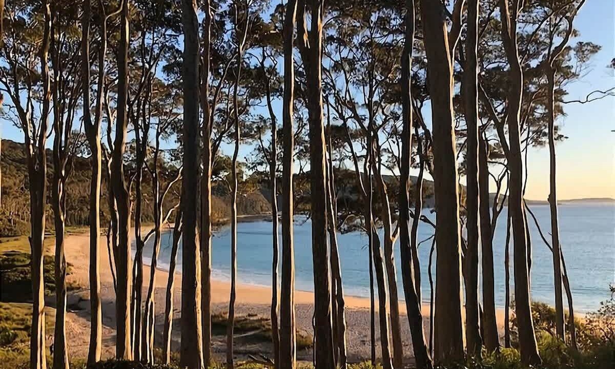 Photo of Others in Depot Beach