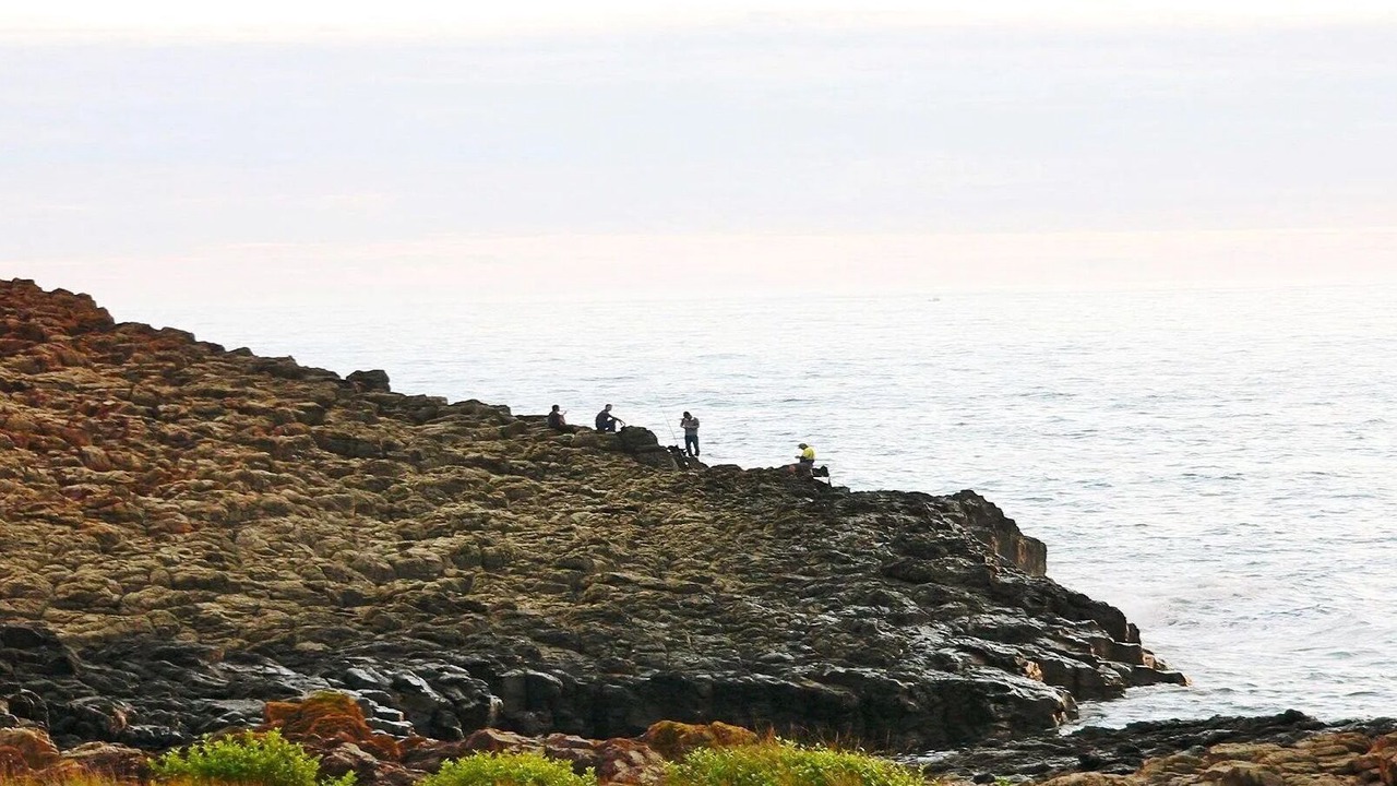Photo of Others in Kiama Downs