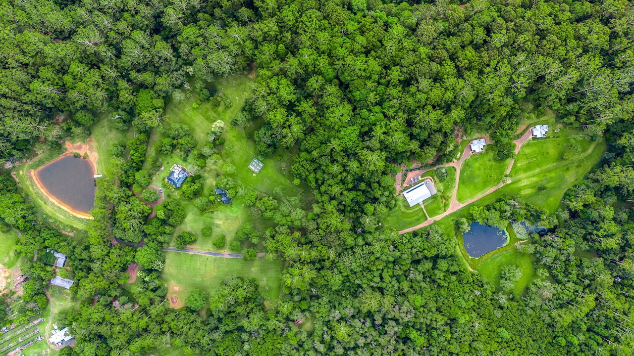 Photo of Outdoor in Whian Whian