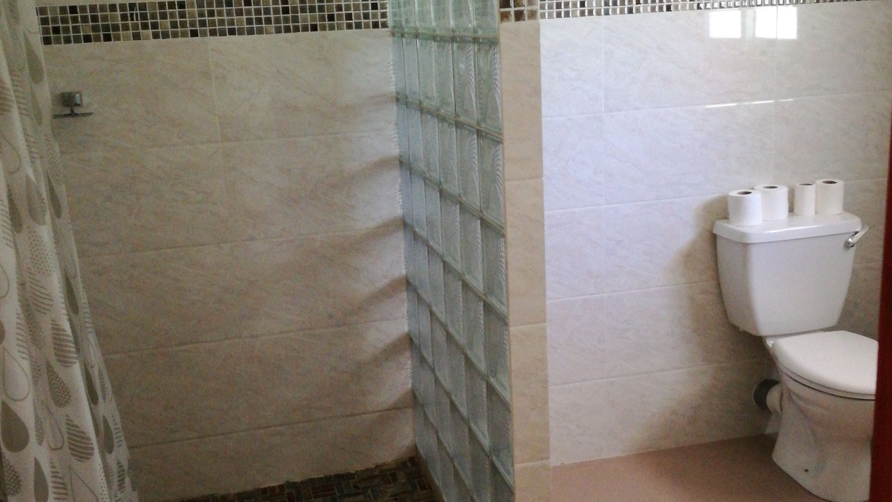 Photo of Bathroom in La Passe