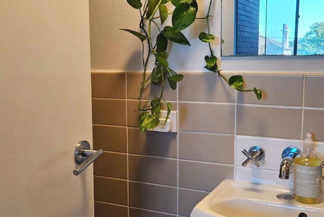 Photo of Bathroom in Annandale