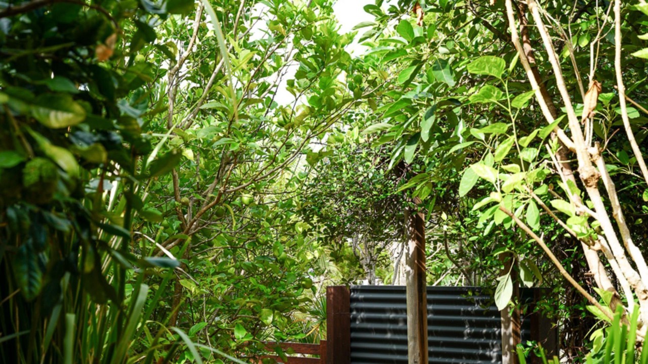 Photo of Outdoor in Peregian Beach
