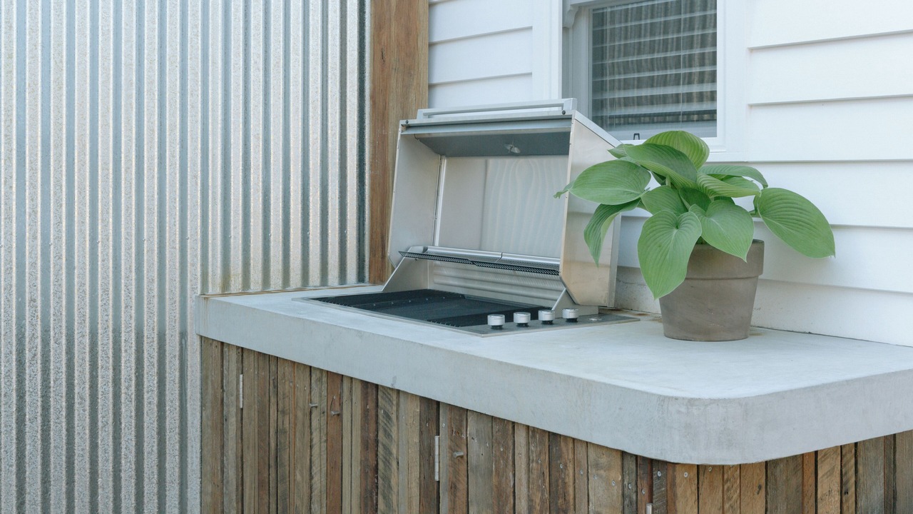 Photo of Outdoor in Berry