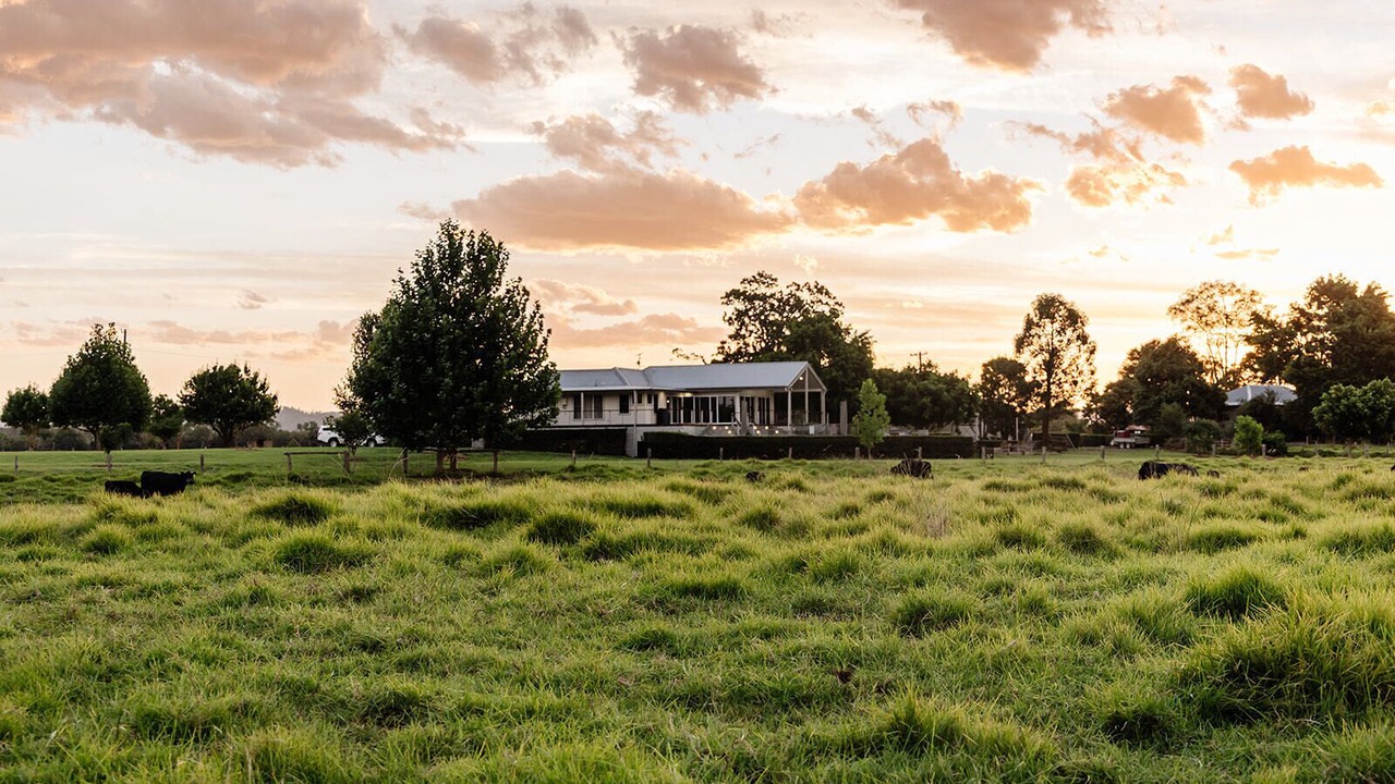 Photo of Outdoor in Taree