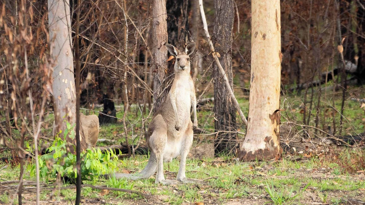 Photo of Others in Glenwood