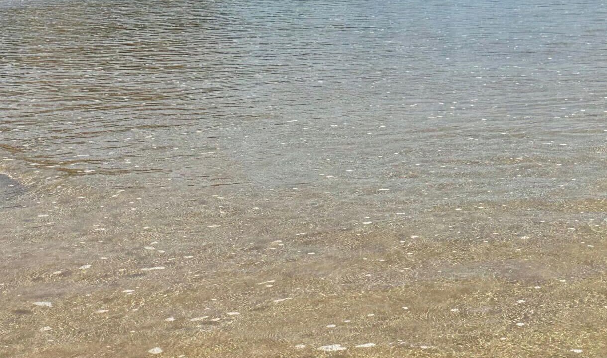 Photo of Others in South Durras