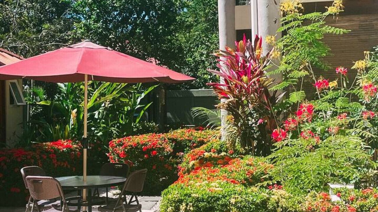 Photo of Outdoor in Potrero