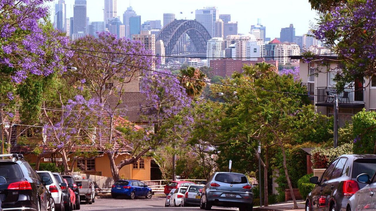Photo of Others in Neutral Bay