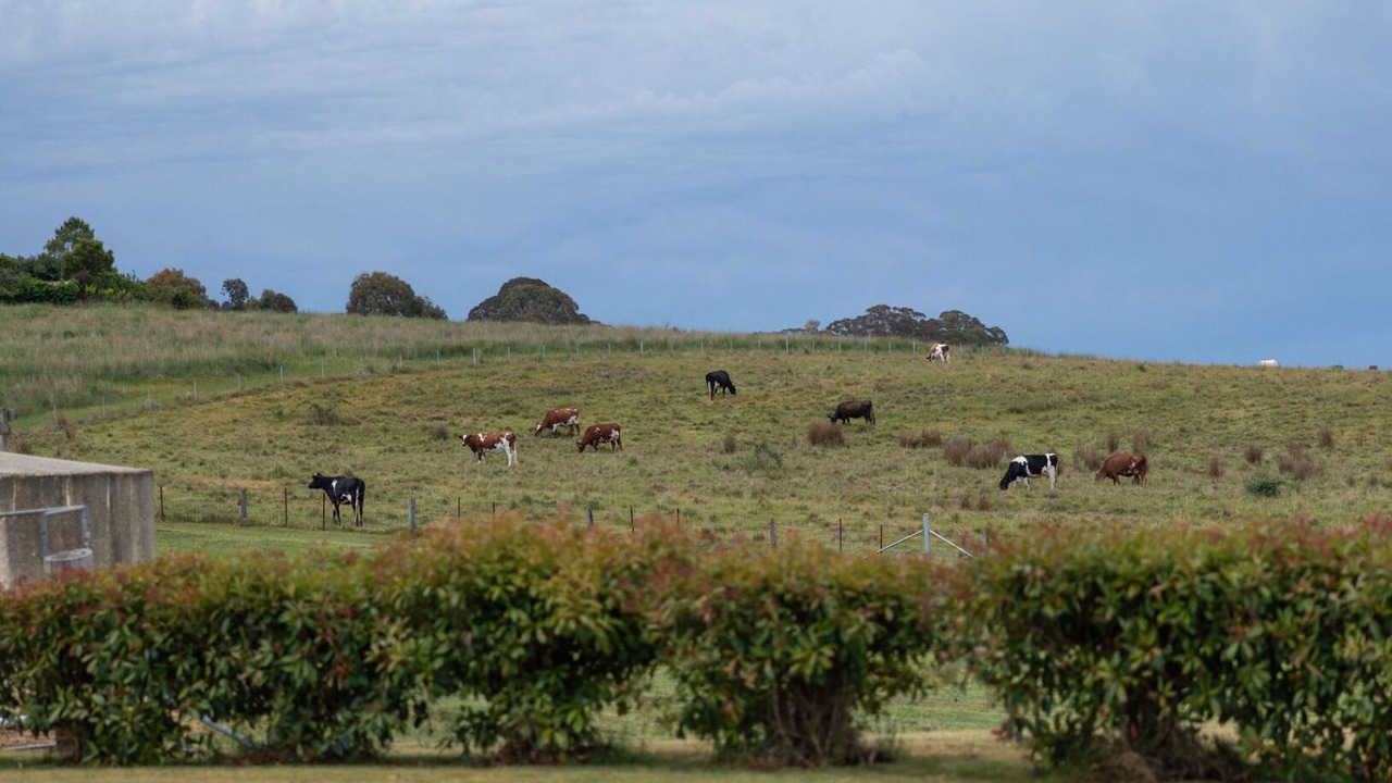 Photo of Others in Shadforth