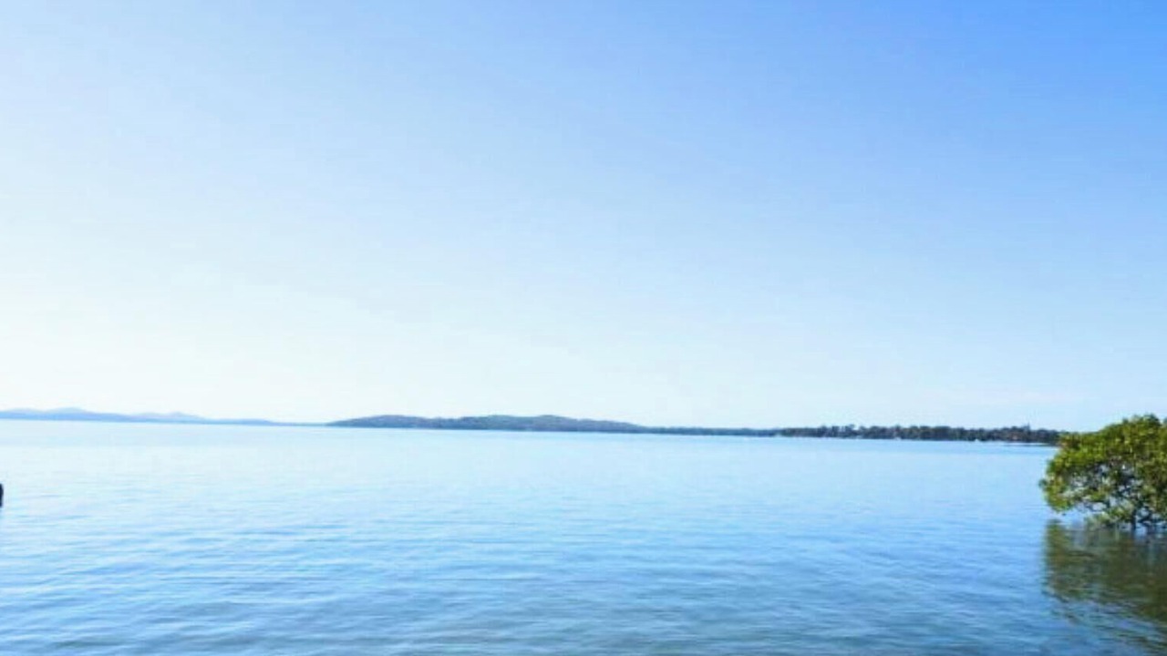 Photo of Others in Swan Bay