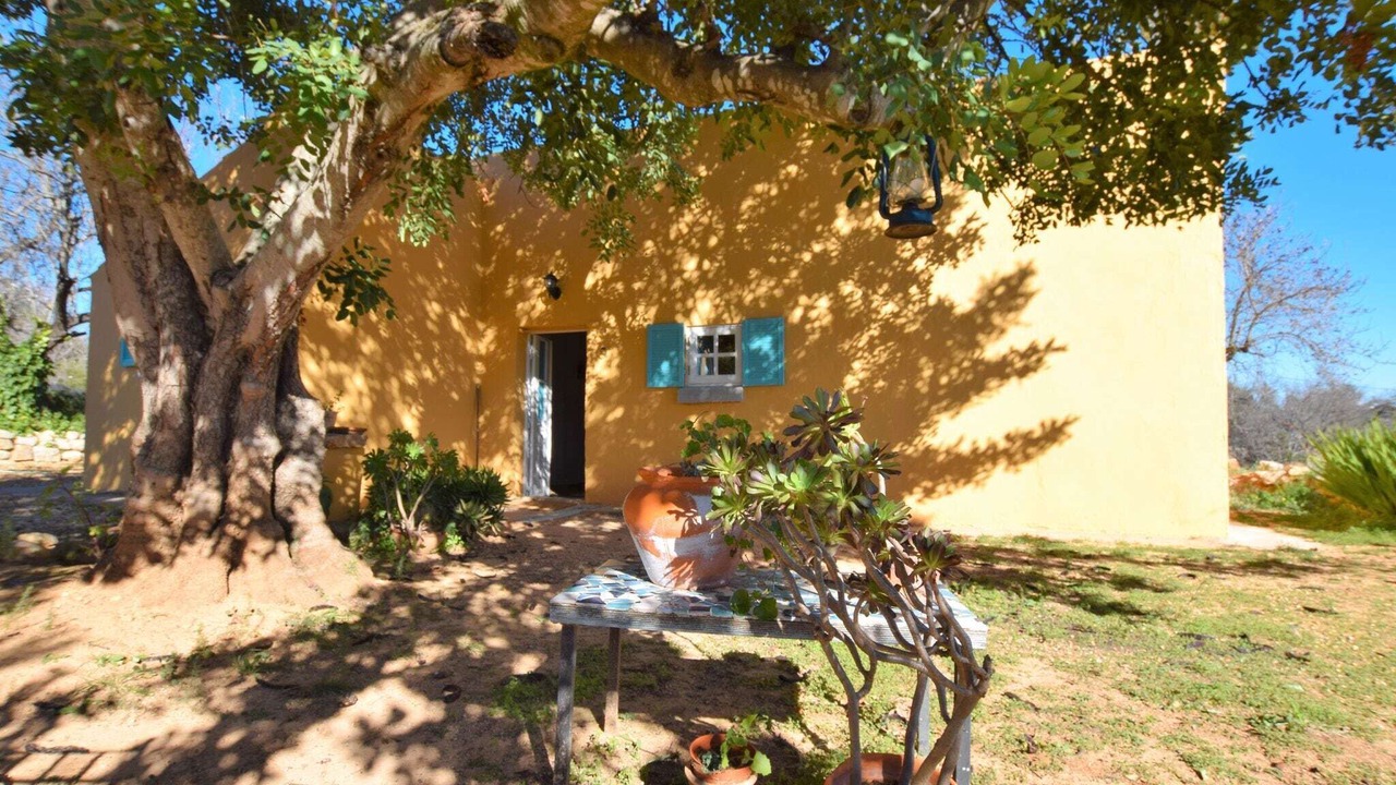 Photo of Outdoor in Loule