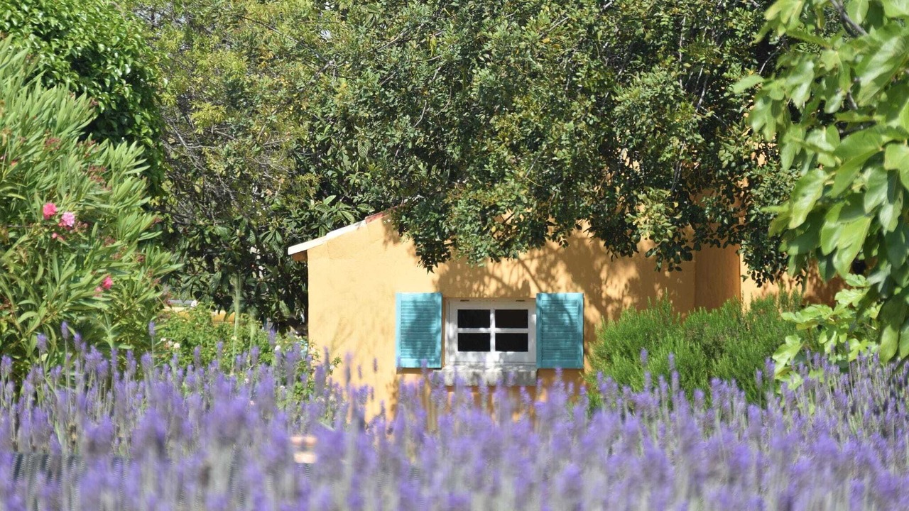 Photo of Outdoor in Loule
