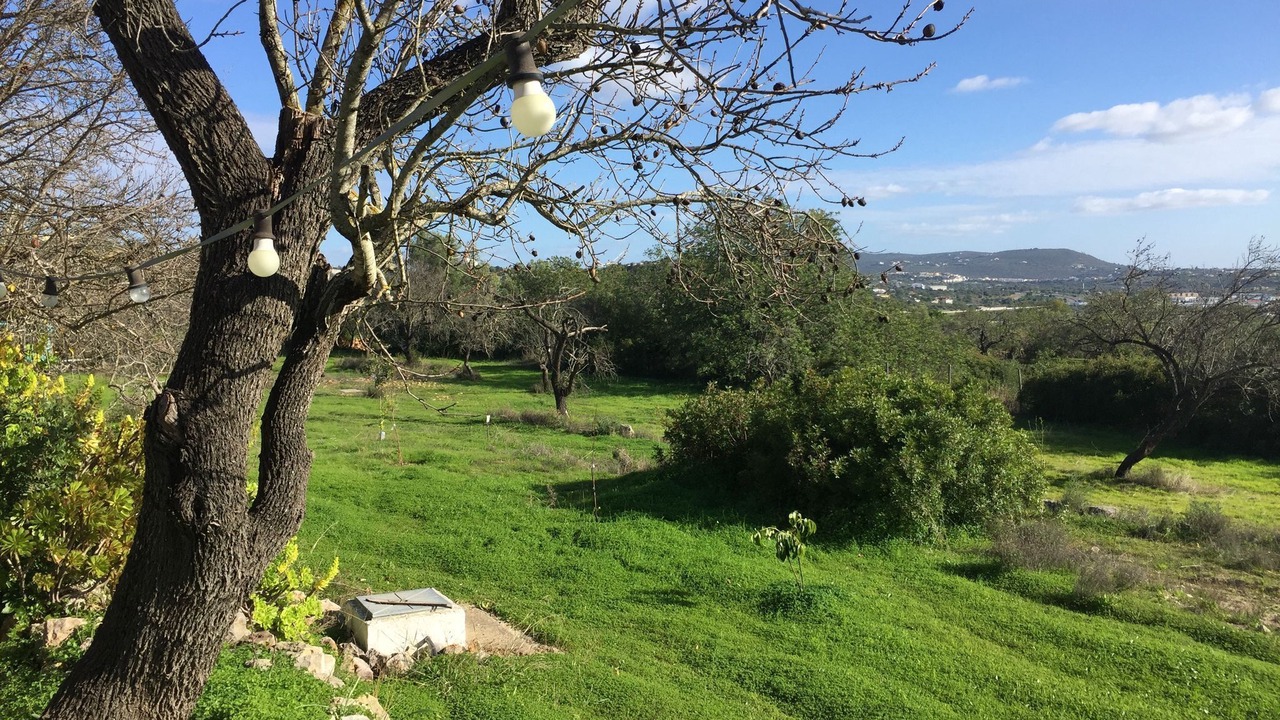 Photo of Outdoor in Loule