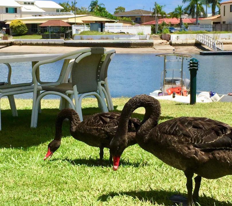 Photo of Others in Biggera Waters