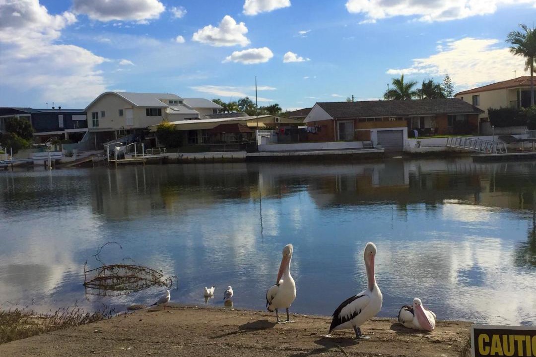 Photo of Others in Biggera Waters