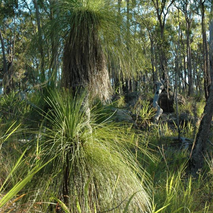 Photo of Others in Mareeba