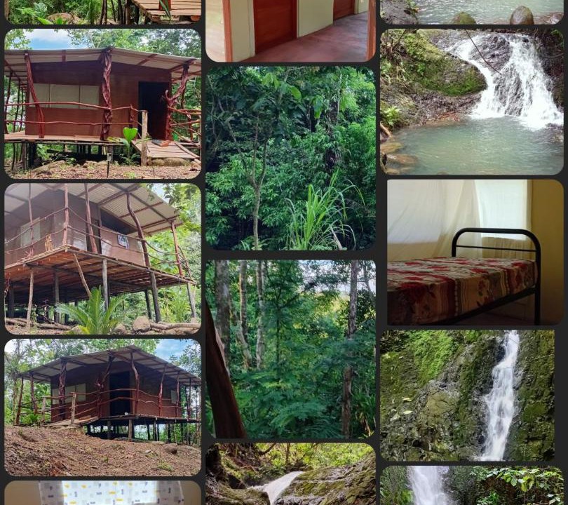 Photo of Others in Canton Parrita