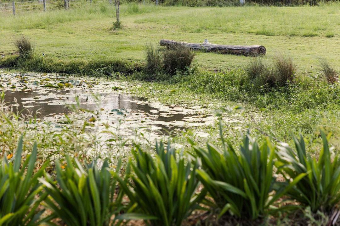 Photo of Others in Cedar Creek