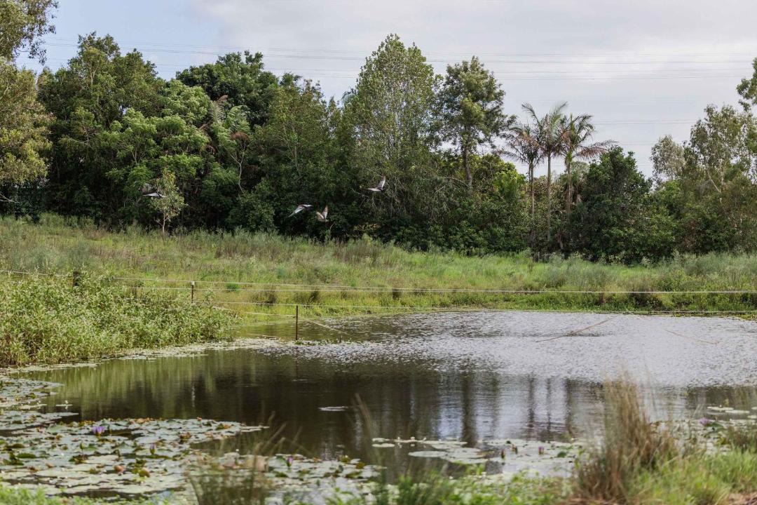 Photo of Others in Cedar Creek