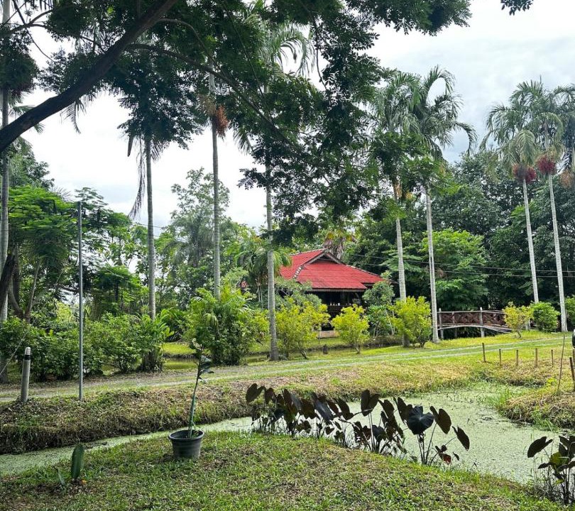 Photo of Others in Choeng Doi