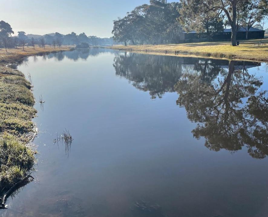 Photo of Others in Stanthorpe