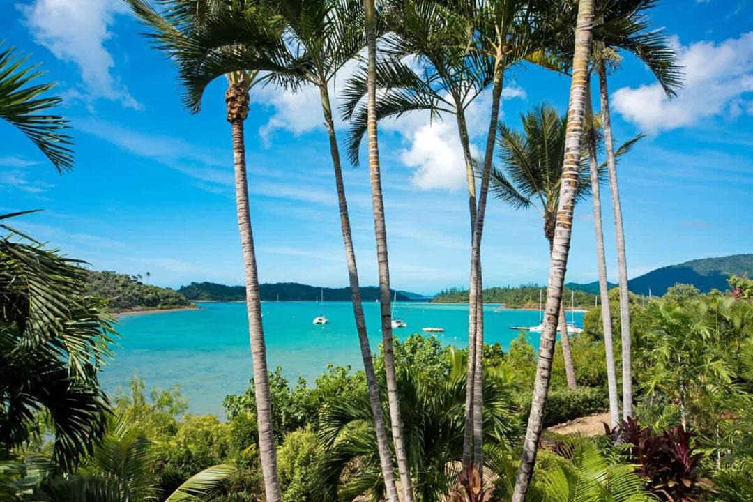 Photo of Others in Shute Harbour