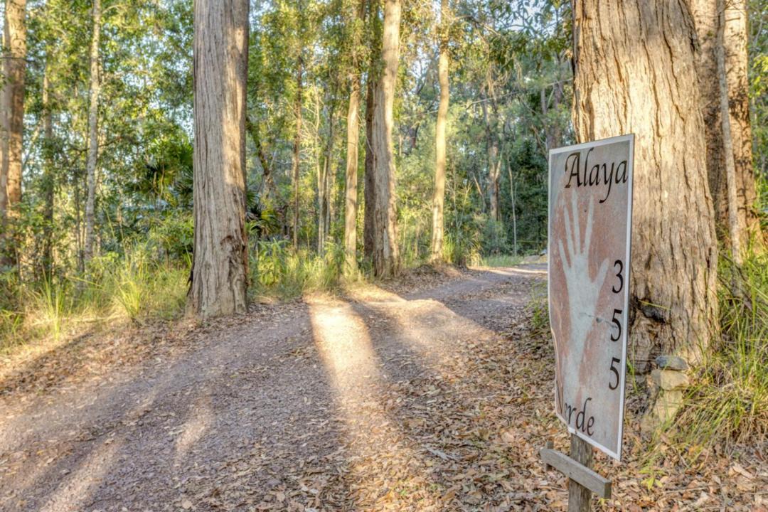 Photo of Others in Ringtail Creek
