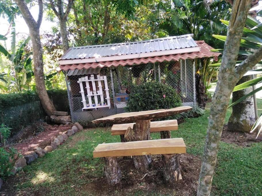 Photo of Others in Alajuela