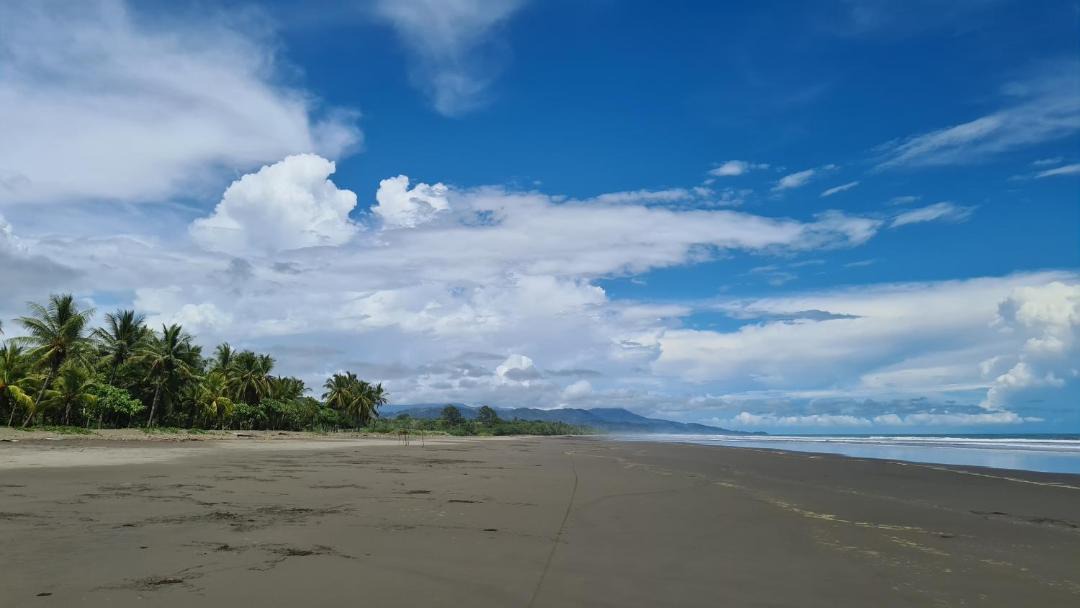 Photo of Others in Playa Matapalo