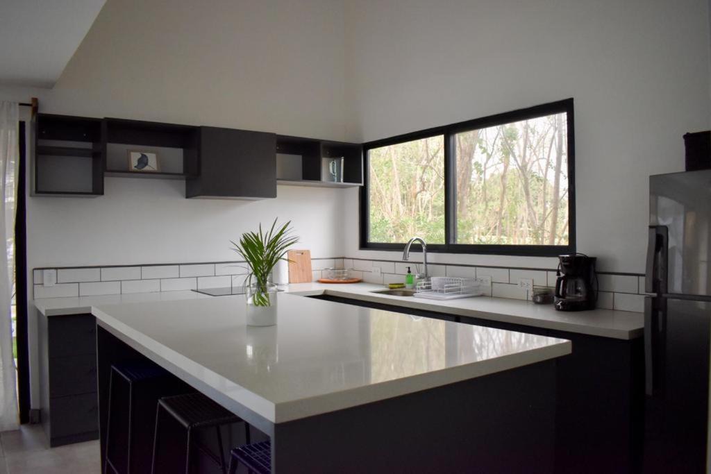 Photo of Others in Junquillal