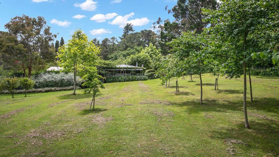 Photo of Others in Bowral