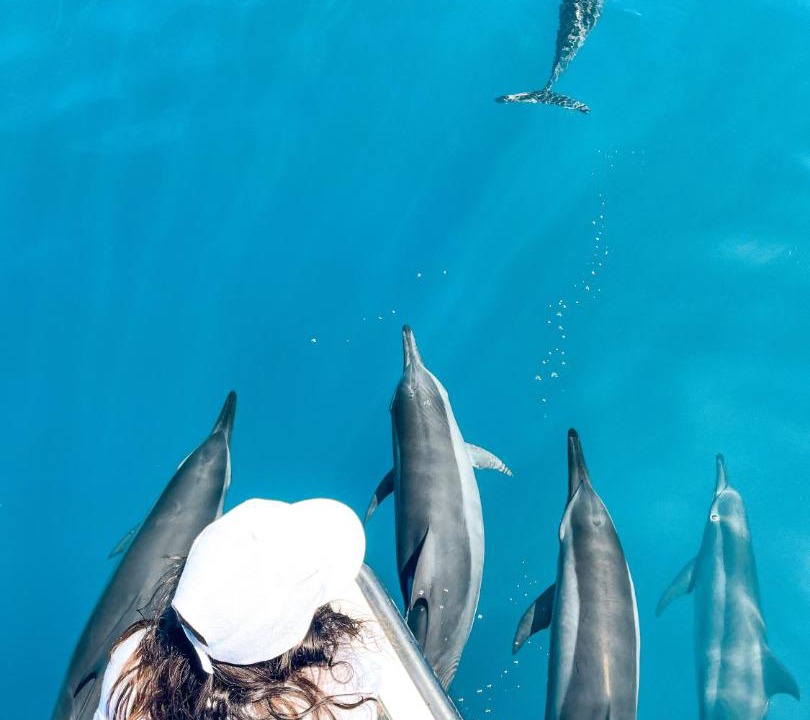 Photo of Others in Dhiffushi