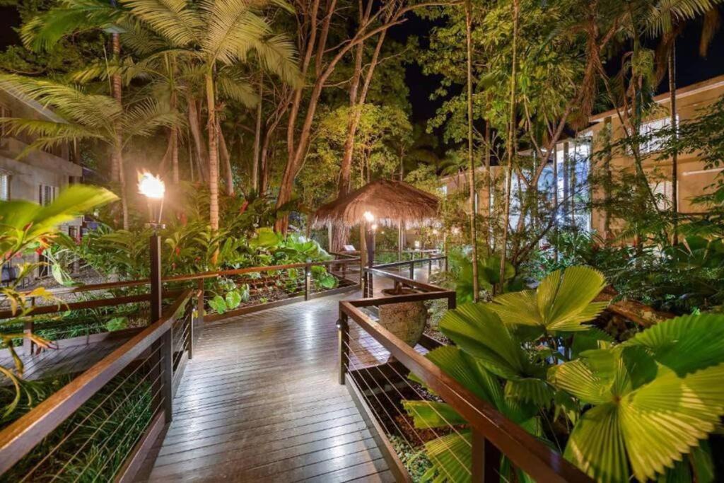 Photo of Others in Port Douglas