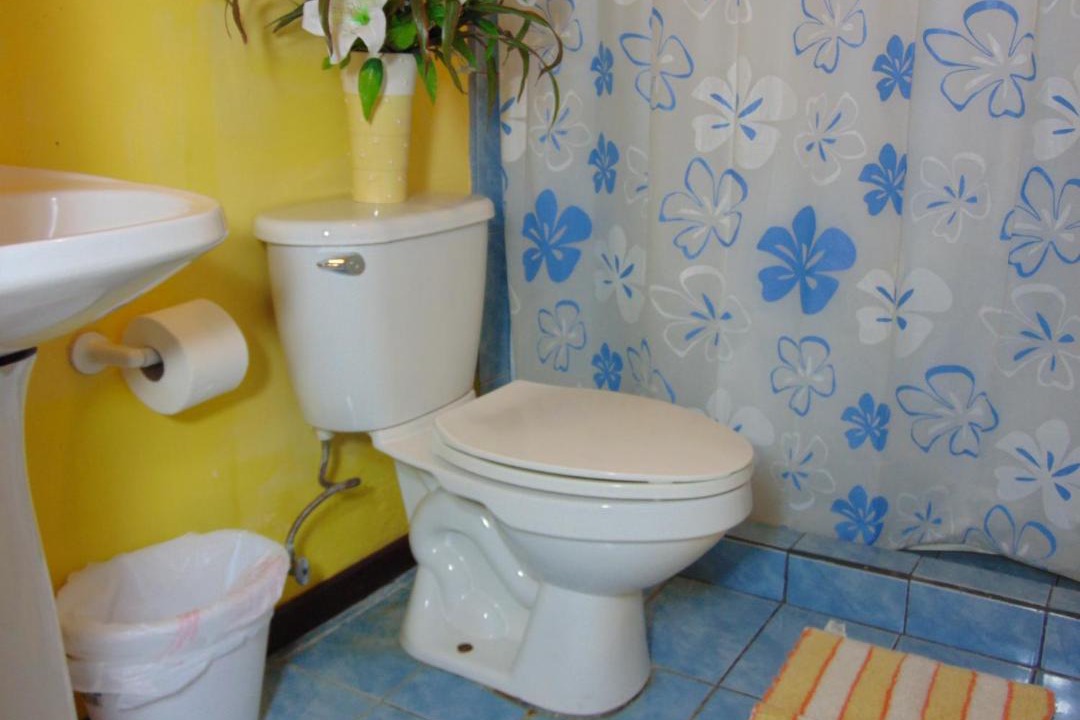 Photo of Bathroom in Pavas