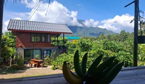 Double Room with Mountain View