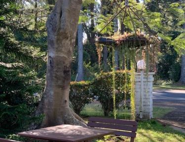 Studio Apartment with Garden View